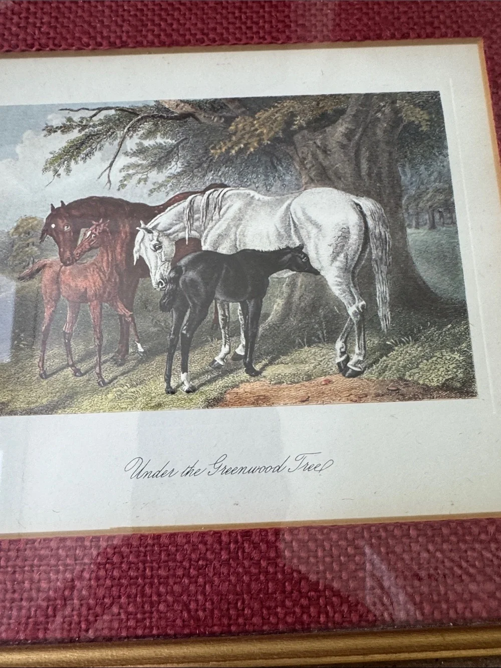 Framed Horse Print with Burgundy Mat and Wood Frame